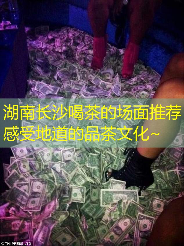 95127eb592d4d5e