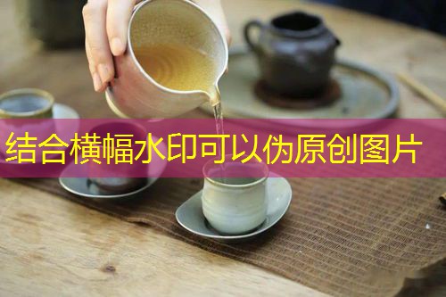 嘉兴喝茶值得一来的地方安利 border-radius=