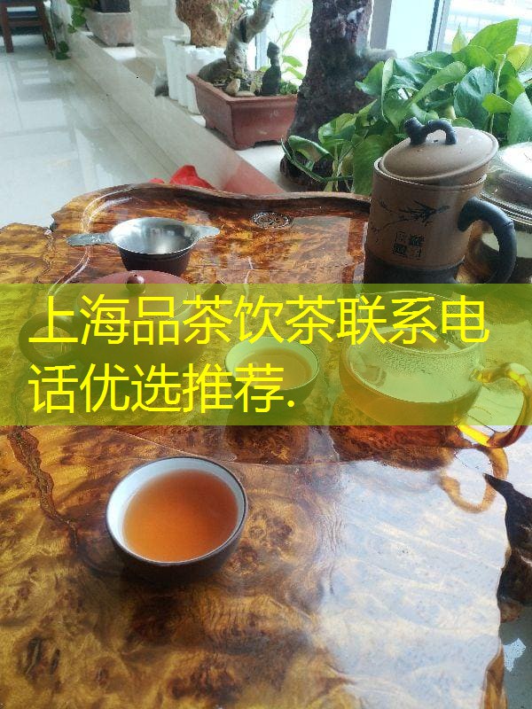 上海品茶喝茶联系方式首选推荐. border-radius=