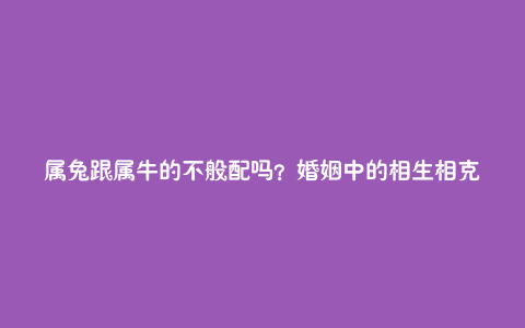 属兔跟属牛的不般配吗?婚姻中的相生相克