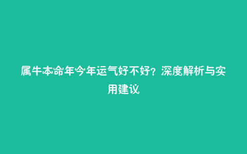 属牛本命年今年运气好不好?深度解析与实用建议