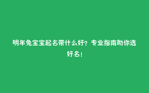 明年兔宝宝起名带什么好？专业指南助你选好名！