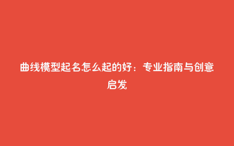 曲线模型起名怎么起的好：专业指南与创意启发
