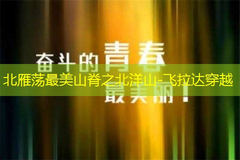 ab95b636b9ae478