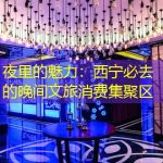 夜里的魅力：西宁必去的晚间文旅消费集聚区