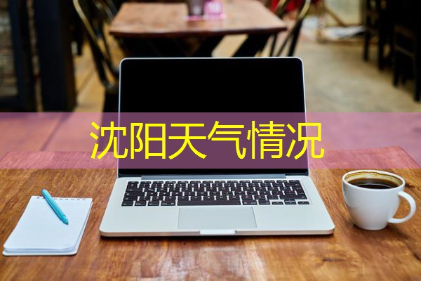 沈阳天气情况 沈阳天气情况