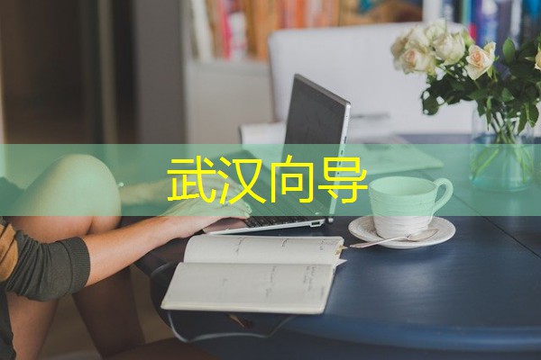 武汉向导