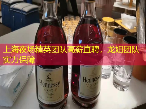 上海夜场精英团队高薪直聘，龙姐团队实力保障