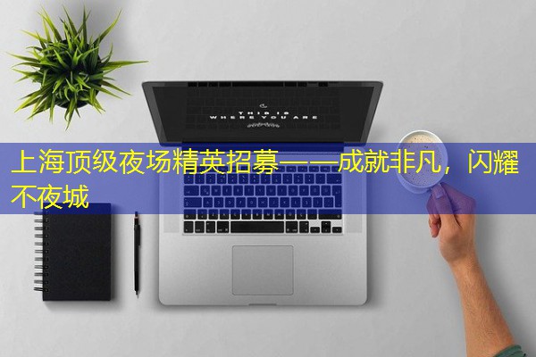 上海顶级夜场精英招募——成就非凡，闪耀不夜城-八零库分类