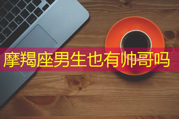 摩羯座男生也有帅哥吗-八零库分类