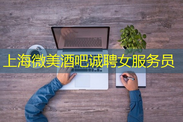 上海微美酒吧诚聘女服务员-八零库分类