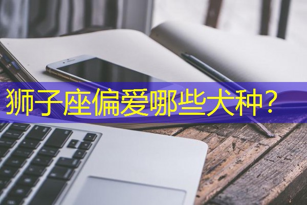 狮子座偏爱哪些犬种？-八零库分类