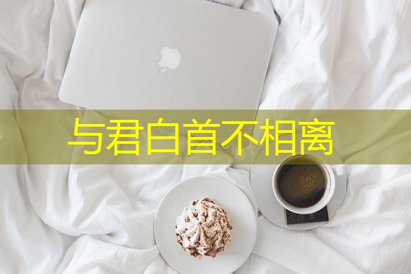 与君白首不相离-八零库分类