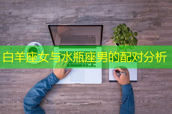 白羊座女与水瓶座男的配对分析-八零库分类