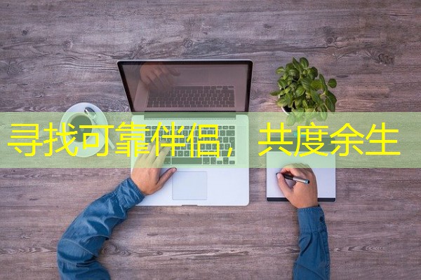 寻找可靠伴侣，共度余生-八零库分类