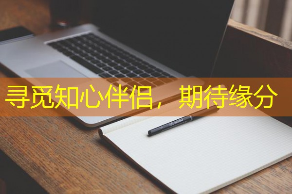 寻觅知心伴侣，期待缘分-八零库分类