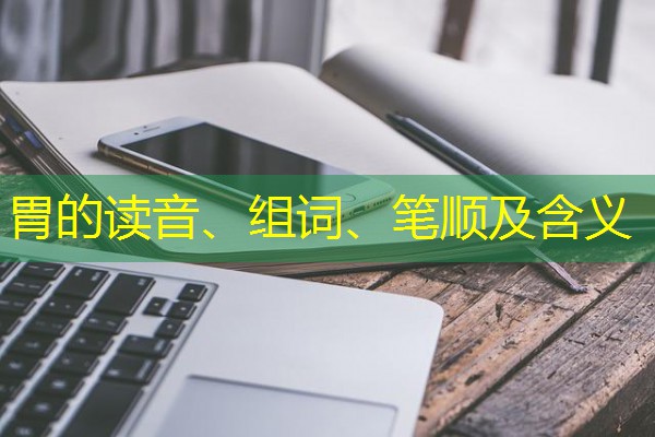 胃的读音、组词、笔顺及含义-八零库分类