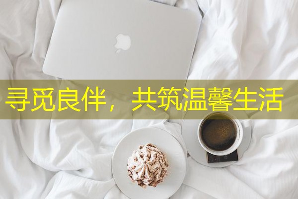 寻觅良伴,共筑温馨生活-八零库分类