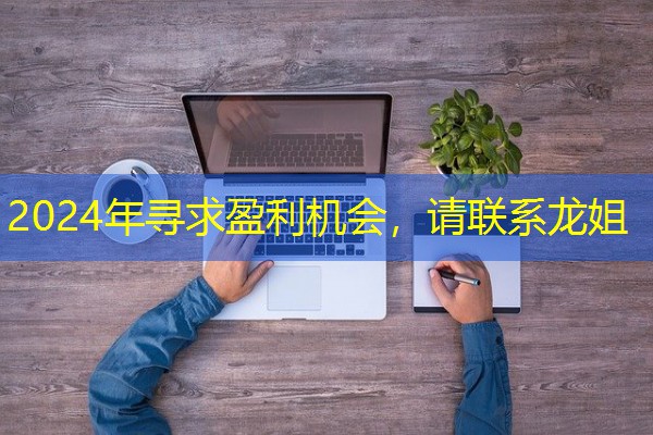 2024年寻求盈利机会，请联系龙姐-八零库分类