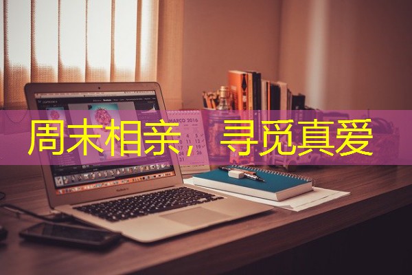 周末相亲,寻觅真爱-八零库分类