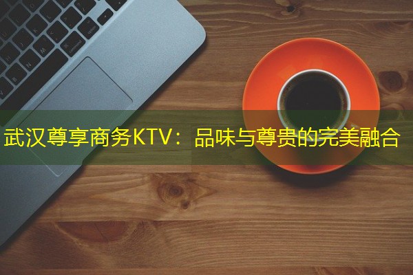 武汉尊享商务KTV:品味与尊贵的完美融合-八零库分类