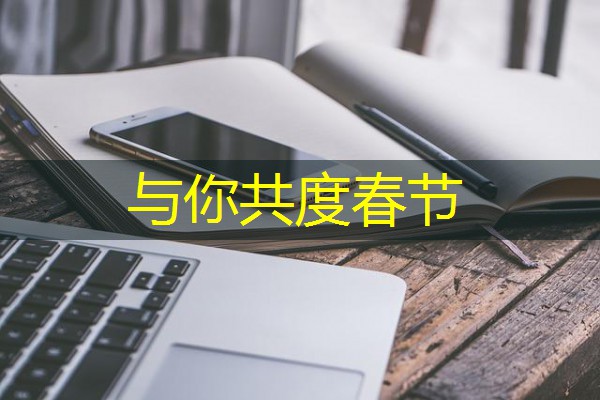 与你共度春节-八零库分类