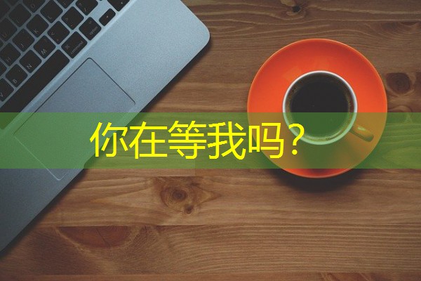 你在等我吗? 你在等我吗?