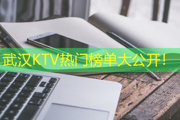 武汉KTV热门榜单大公开!-八零库分类