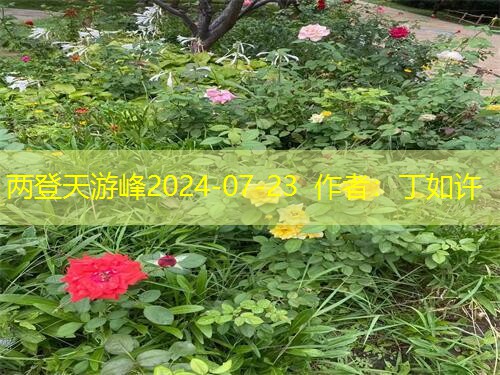 24f44f39b9e0a43