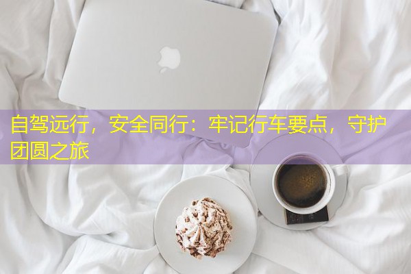 自驾远行,安全同行:牢记行车要点,守护团圆之旅