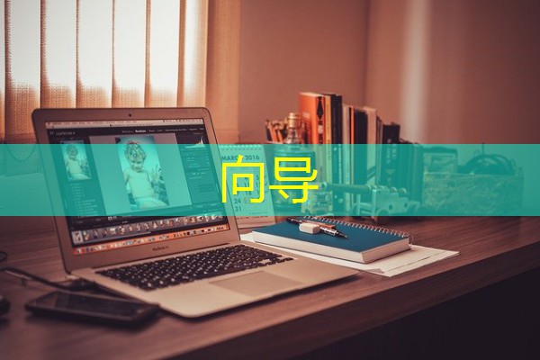 向导