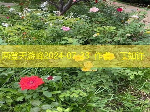 两登天游峰2024-07-23  作者：丁如许