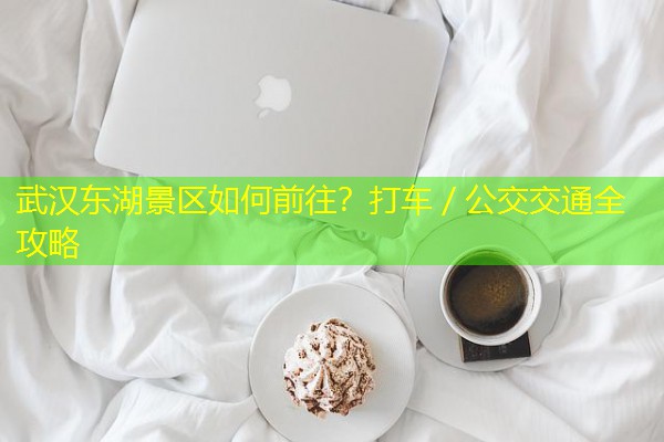 武汉东湖景区如何前往?打车/公交交通全攻略 武汉东湖景区如何前往?打车/公交交通全攻略