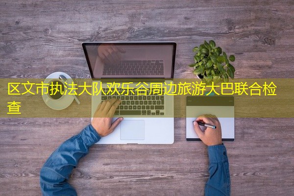 区文市执法大队欢乐谷周边旅游大巴联合检查 区文市执法大队欢乐谷周边旅游大巴联合检查