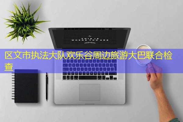区文市执法大队欢乐谷周边旅游大巴联合检查 区文市执法大队欢乐谷周边旅游大巴联合检查