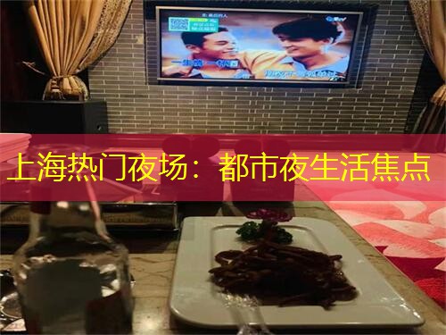 上海热门夜场：都市夜生活焦点