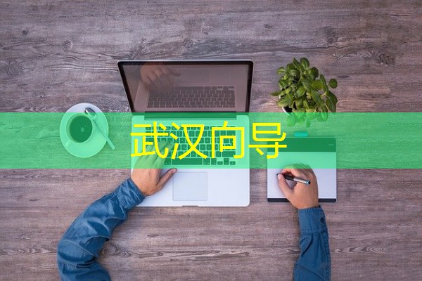 武汉向导