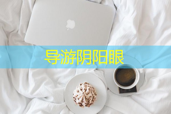 导游阴阳眼 导游阴阳眼