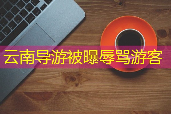 云南导游被曝辱骂游客 云南导游被曝辱骂游客