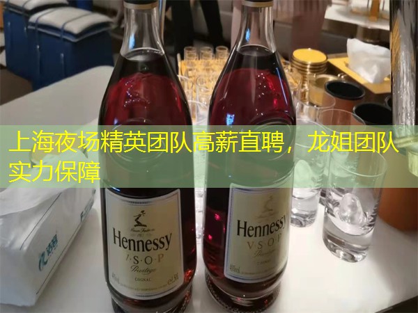上海夜场精英团队高薪直聘，龙姐团队实力保障