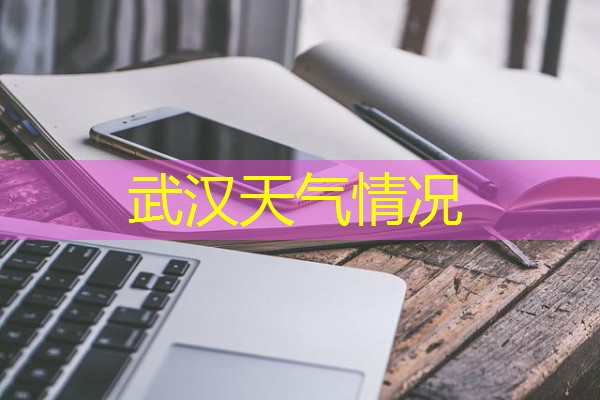 武汉天气情况 武汉天气情况