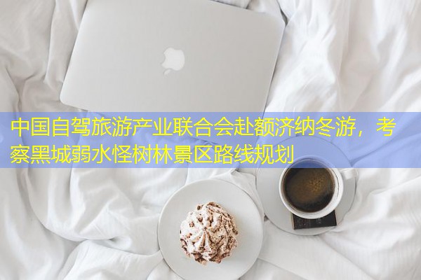 中国自驾旅游产业联合会赴额济纳冬游,考察黑城弱水怪树林景区路线规划 中国自驾旅游产业联合会赴额济纳冬游,考察黑城弱水怪树林景区路线规划