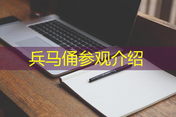 兵马俑参观介绍 兵马俑参观介绍