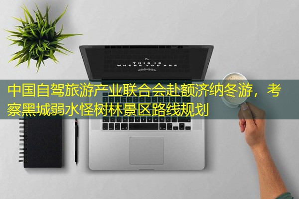 中国自驾旅游产业联合会赴额济纳冬游,考察黑城弱水怪树林景区路线规划