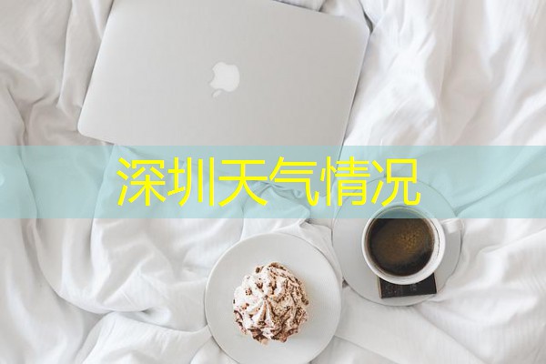 深圳天气情况