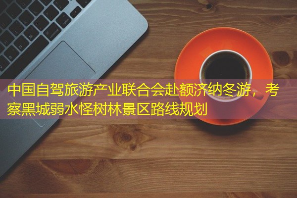 中国自驾旅游产业联合会赴额济纳冬游,考察黑城弱水怪树林景区路线规划 中国自驾旅游产业联合会赴额济纳冬游,考察黑城弱水怪树林景区路线规划
