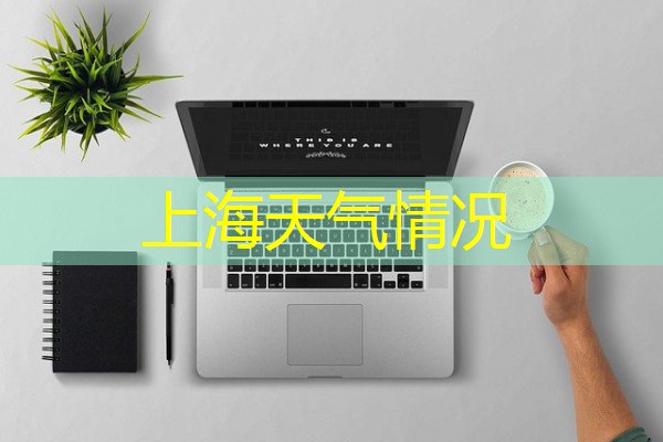 上海天气情况