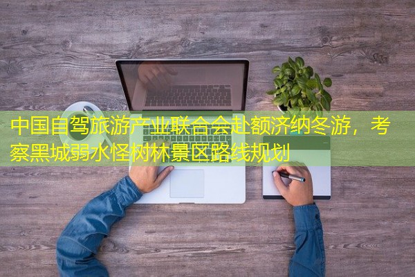 中国自驾旅游产业联合会赴额济纳冬游,考察黑城弱水怪树林景区路线规划
