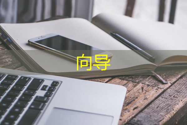 向导 向导