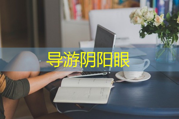 导游阴阳眼 导游阴阳眼